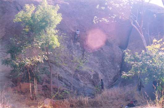 ../images/ramnagar/fflake1.jpg