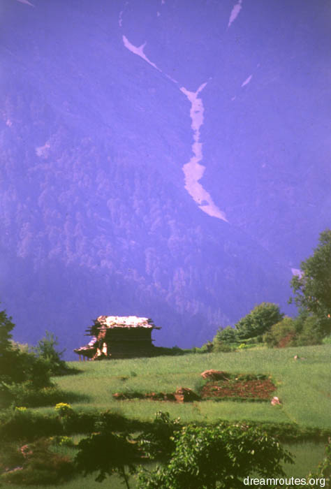 Village View