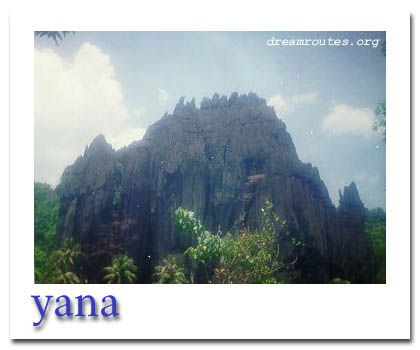 yana